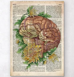Cerveau avec des fleurs - Anciene dictionnaire