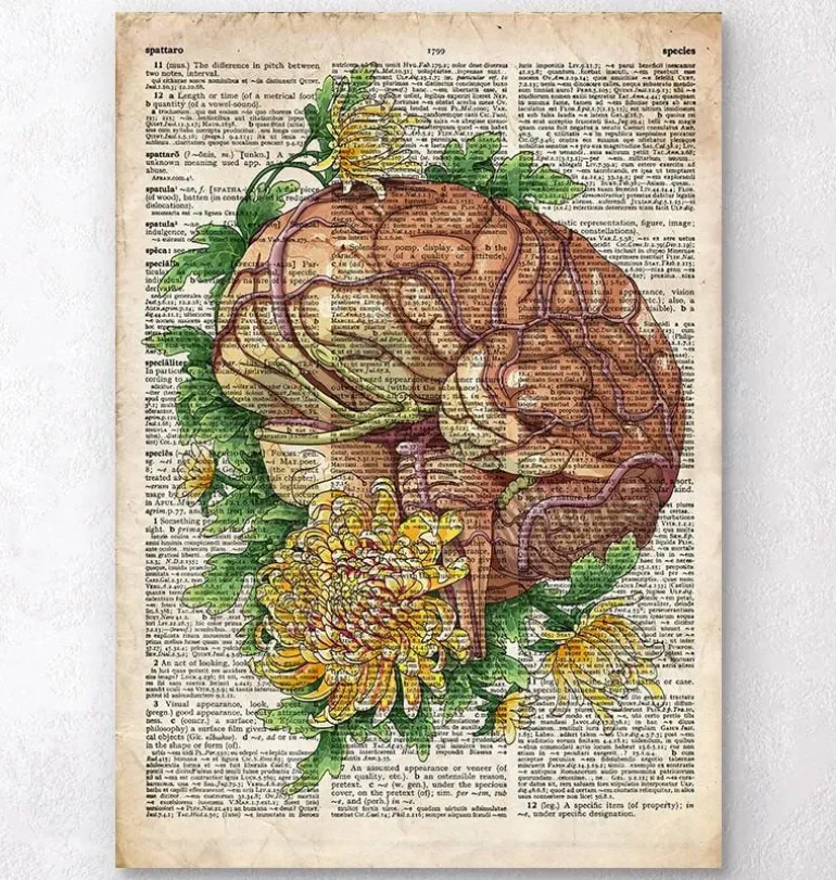 Cerveau avec des fleurs - Anciene dictionnaire