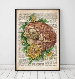 Cerveau avec des fleurs - Anciene dictionnaire