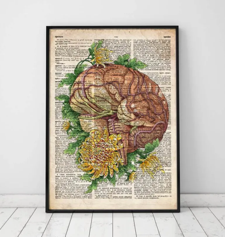 Cerveau avec des fleurs - Anciene dictionnaire