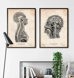 Cerveau et moelle épinière