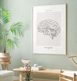 Cerveau sagittal - Line Art
