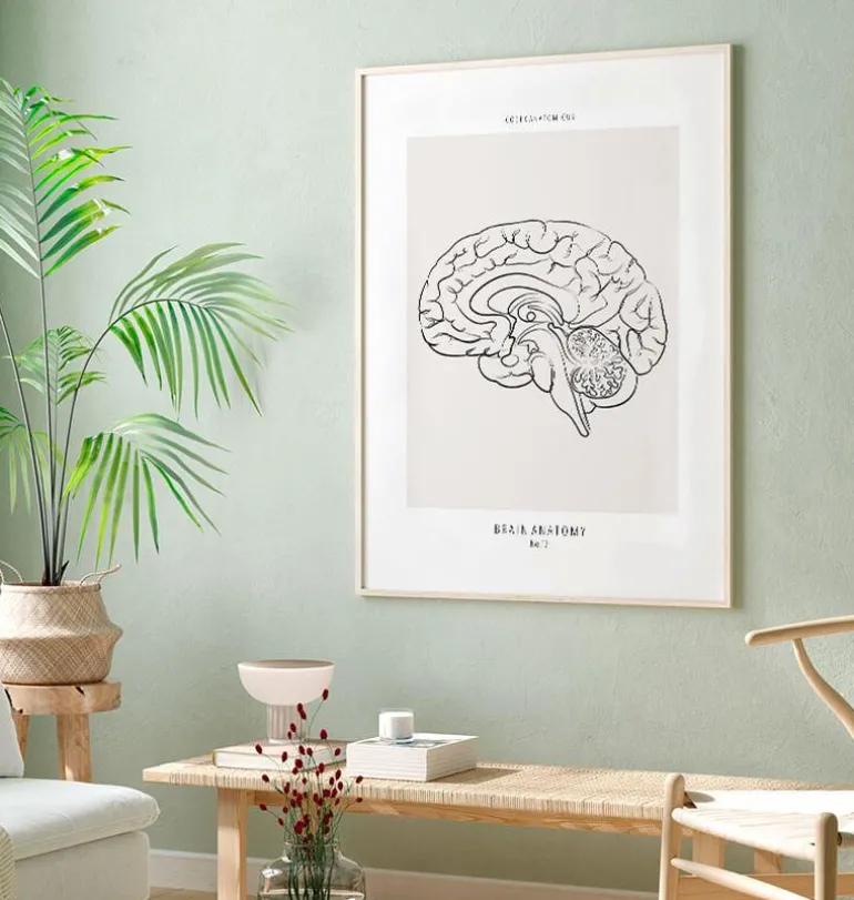 Cerveau sagittal - Line Art