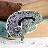 Cerveau sur tableau noir - Pins