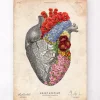 Coeur anatomique avec fleurs - Vieux papiers