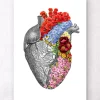 Coeur anatomique avec fleurs - Blanc