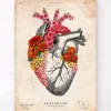 Coeur anatomique avec fleurs II - Vieux papier