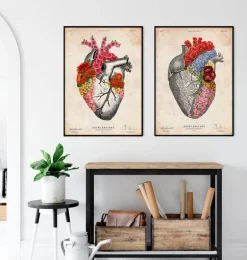Coeur anatomique avec fleurs II - Vieux papier