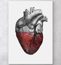 Coeur coloré - Rouge