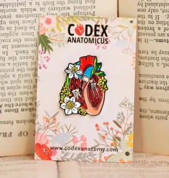 Coeur disséqué avec des fleurs - Pins