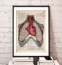 Coeur et poumons - Page du dictionnaire