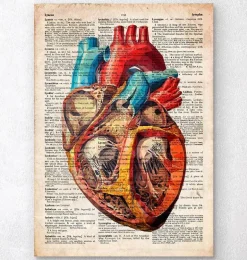 Coeur géométrique - Dictionnaire
