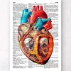 Coeur géométrique - Page du dictionnaire