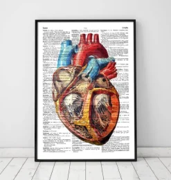 Coeur géométrique - Page du dictionnaire