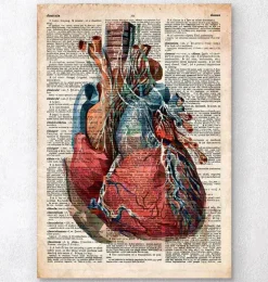 Coeur géométrique II - Dictionnaire