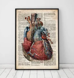 Coeur géométrique II - Dictionnaire