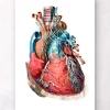 Coeur géométrique III