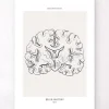 Coupe du cerveau - Line Art