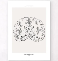 Coupe du cerveau - Line Art