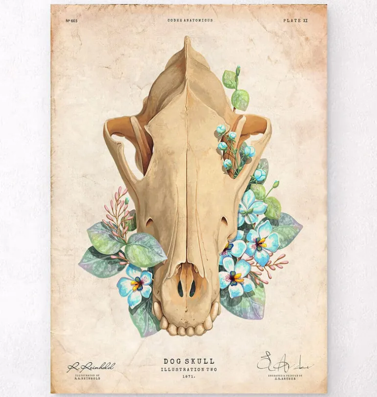 Crâne de chien - Floral - Vintage