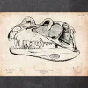 Crâne de dinosaure