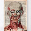 Face géométrique - Dictionnaire
