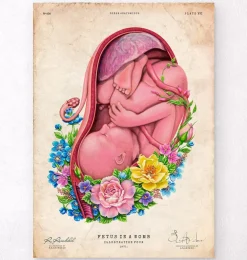 Foetus in a utérus - Floral - Vieux papier