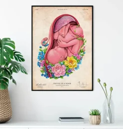Foetus in a utérus - Floral - Vieux papier