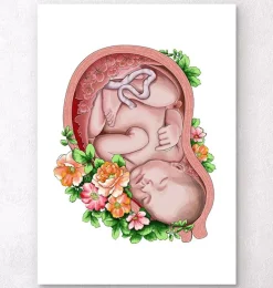 Foetus in a utérus II - Blanc