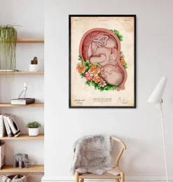 Foetus in a utérus II - Vieux papier