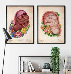 Foetus in a utérus II - Vieux papier