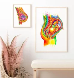 Foetus in utero - Aquarelle