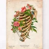 Fracture des côtes - Floral - Vintage