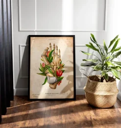 Hallux valgus - Floral - Vintage