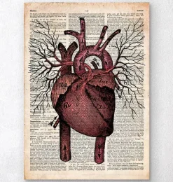 Heart II - Page du dictionnaire
