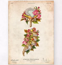 Hernie discale - Floral - Vintage