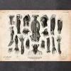 Illustrations d'anatomie humaine III