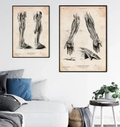 Impression d'anatomie de la main humaine III