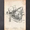 Impression d'anatomie des muscles faciaux