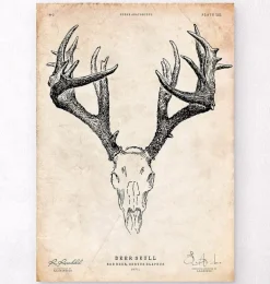 Imprimé crâne de cerf