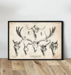 Imprimé tête de mort cerf et orignal