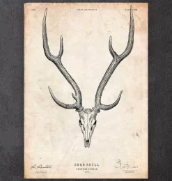 Imprimé tête de mort cerf II
