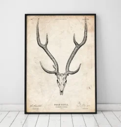 Imprimé tête de mort cerf II
