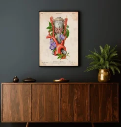 Larynx, thyroïde et aorte - Vieux papiers