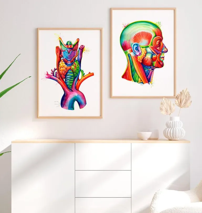Larynx, thyroïde et aorte - aquarelle