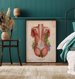Muscles du dos féminin - Floral - Vintage
