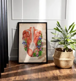 Muscles du dos masculins - Floral - Vintage