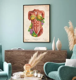 Muscles du torse féminin - Floral - Vieux papier