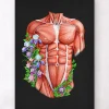 Muscles du torse masculin - Noir