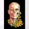 Muscles du visage - Floral - Noir